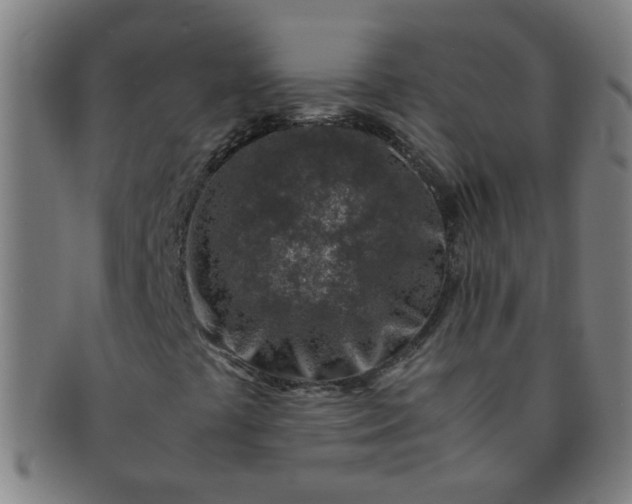 X0000091361441200708241300
