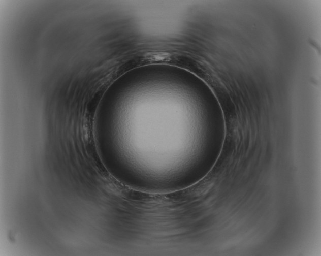 X0000091361442200708241300