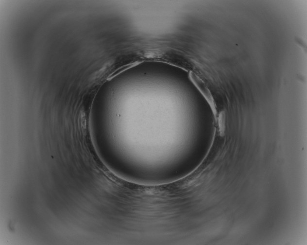 X0000091361443200708241259