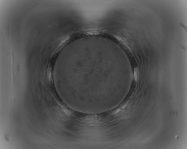 X0000091361444200708241259