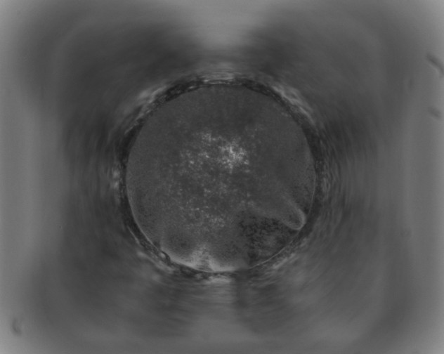 X0000091361445200708241259