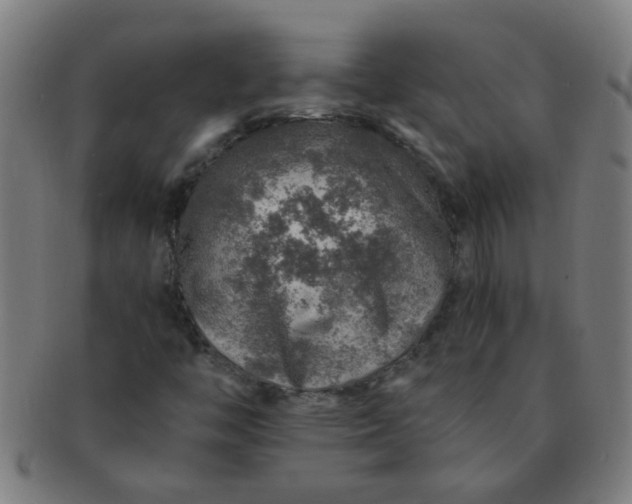 X0000091361446200708241259
