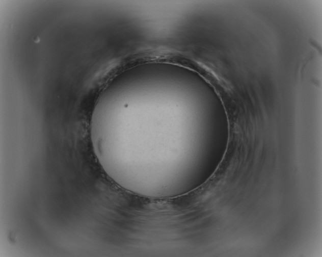 X0000091361447200708241259