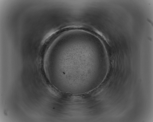 X0000091361448200708241259
