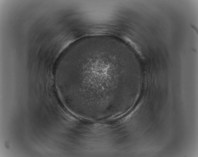 X0000091361449200708241259