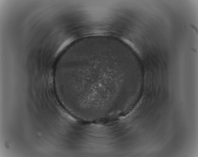 X0000091361450200708241259