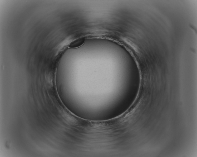 X0000091361451200708241259