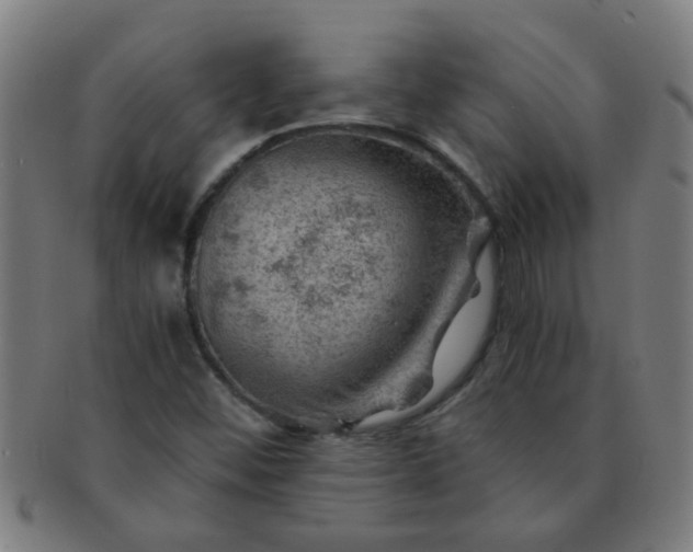 X0000091361452200708241259