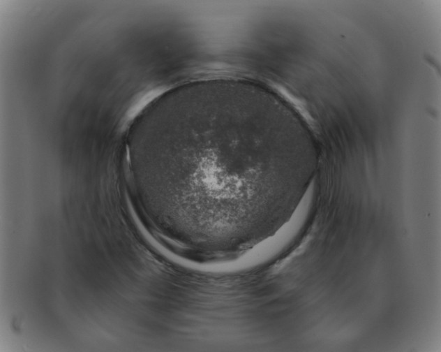 X0000091361453200708241259