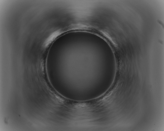 X0000091361455200708241259