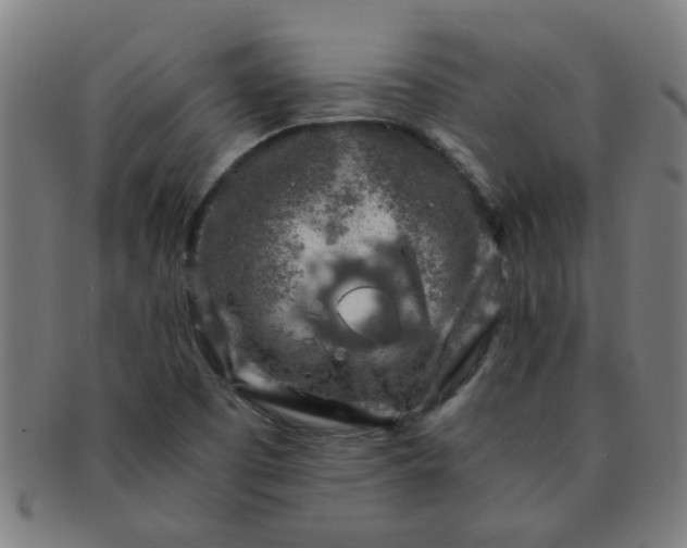 X0000091361457200708241259