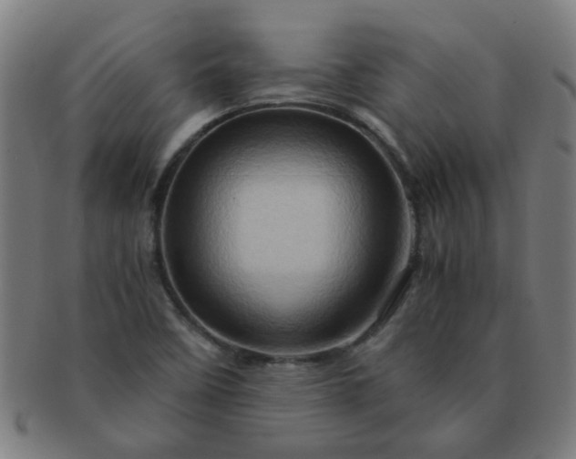 X0000091361458200708241259