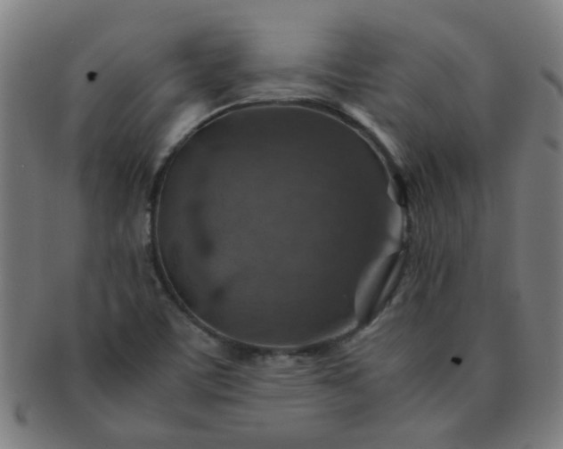 X0000091361459200708241259