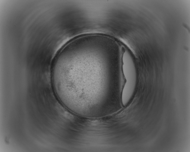 X0000091361460200708241259
