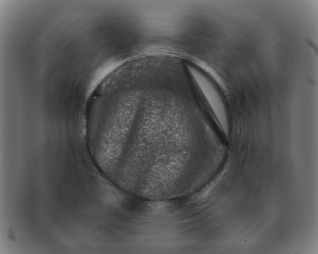 X0000091361461200708241259
