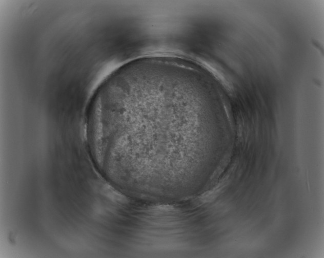 X0000091361462200708241259