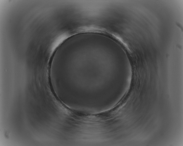 X0000091361463200708241259
