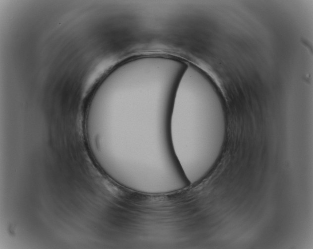 X0000091361464200708241259