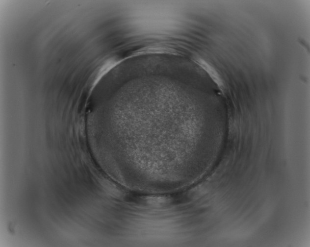 X0000091361465200708241259