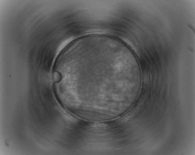 X0000091361466200708241259