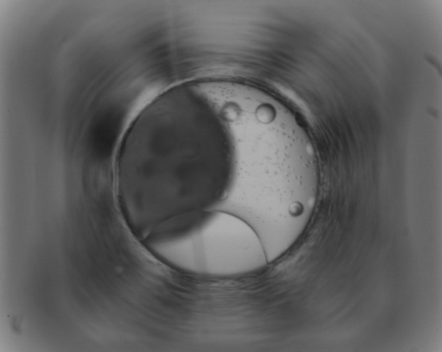 X0000091361467200708241259