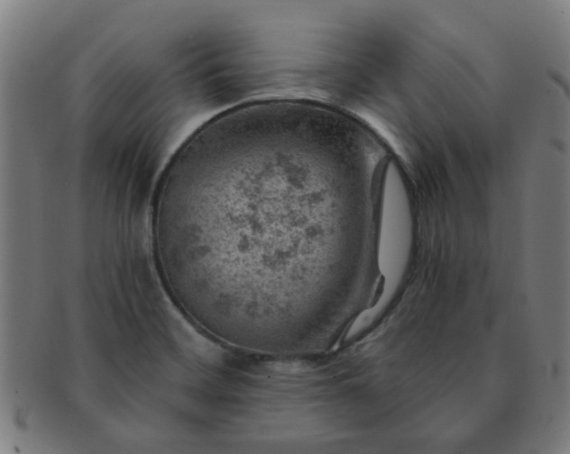 X0000091361468200708241259