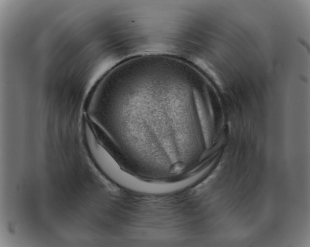 X0000091361469200708241259