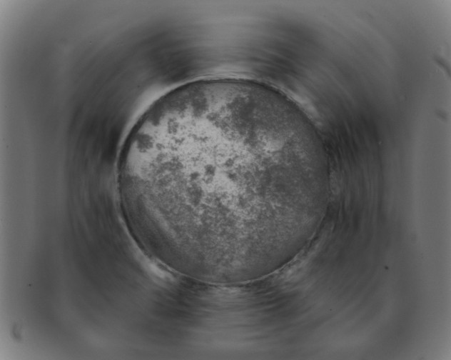 X0000091361470200708241259