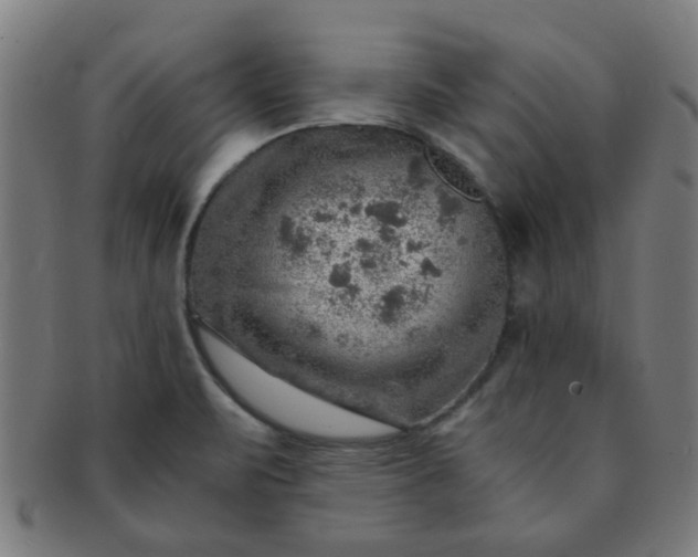 X0000091361471200708241259