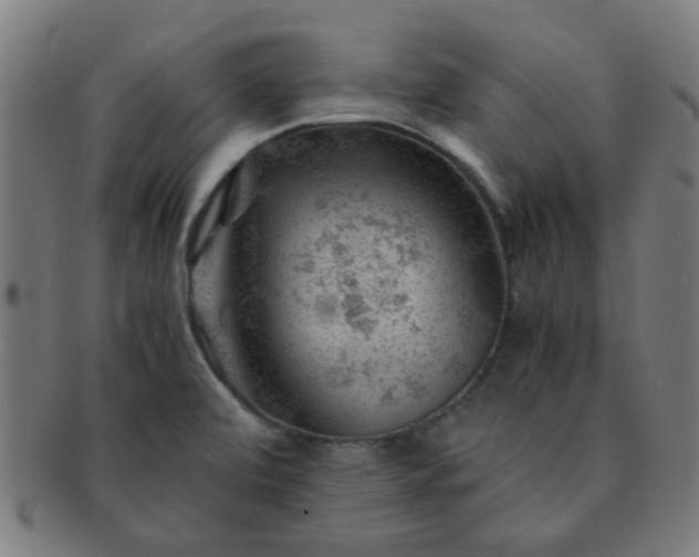 X0000091361472200708241259