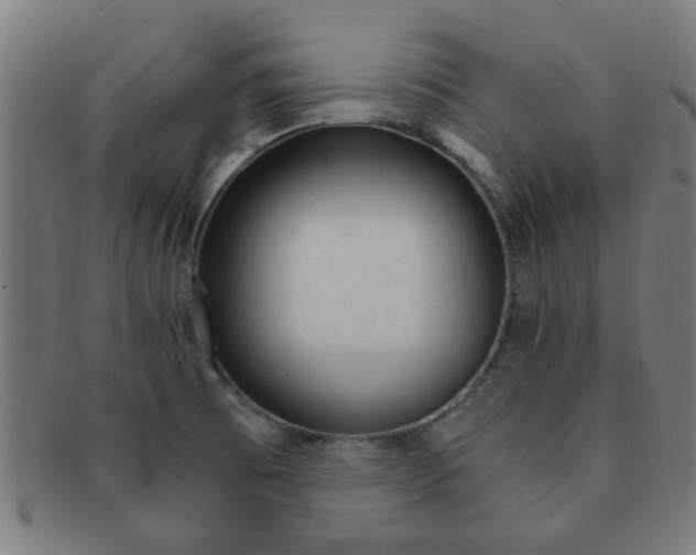 X0000091361473200708241259