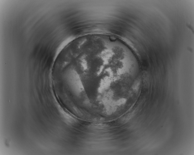 X0000091361474200708241259
