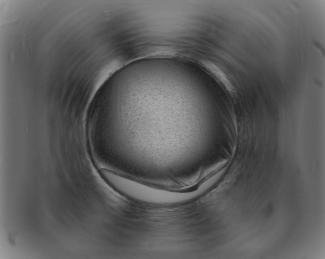 X0000091361475200708241259