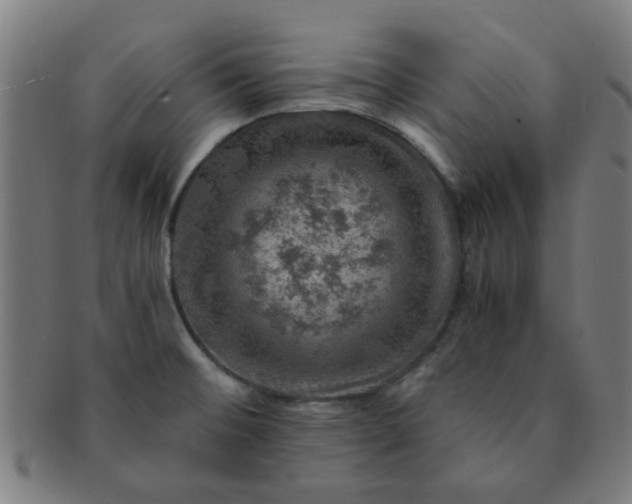 X0000091361476200708241259