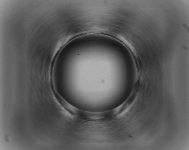 X0000091361477200708241259