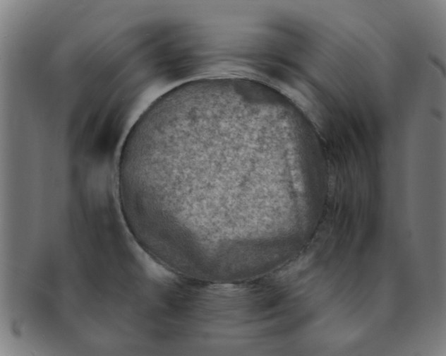 X0000091361478200708241259