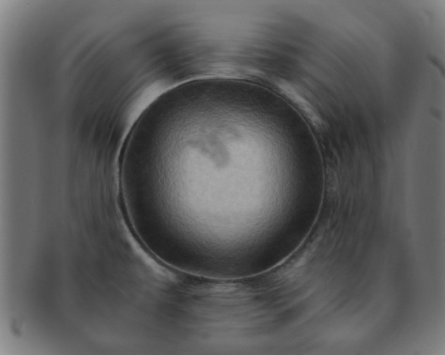 X0000091361479200708241259