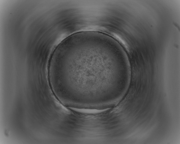 X0000091361480200708241259