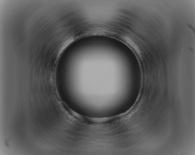 X0000091361481200708241259