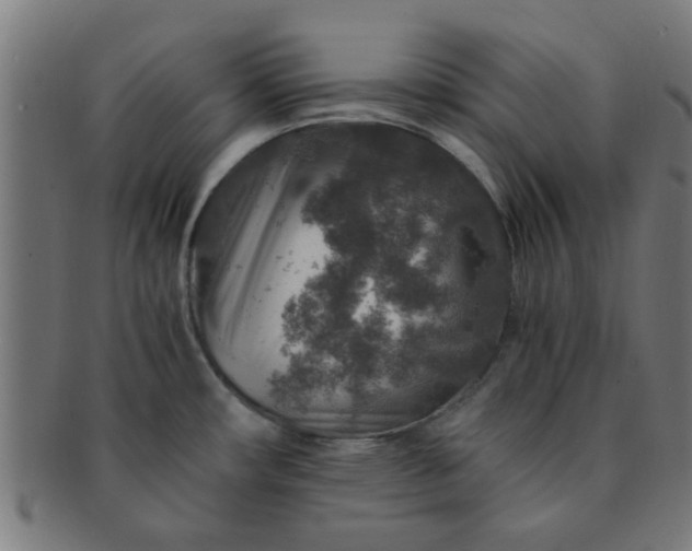 X0000091361482200708241259