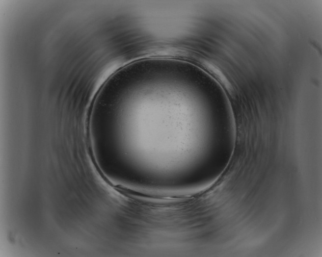 X0000091361483200708241259