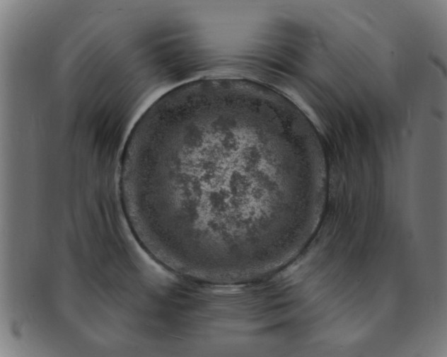 X0000091361484200708241259