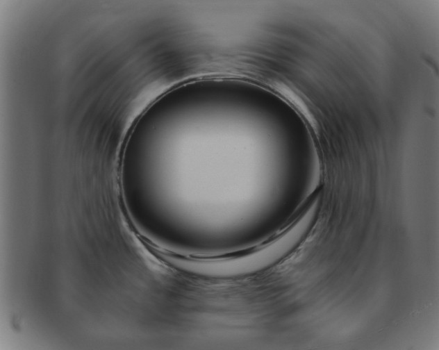 X0000091361485200708241259