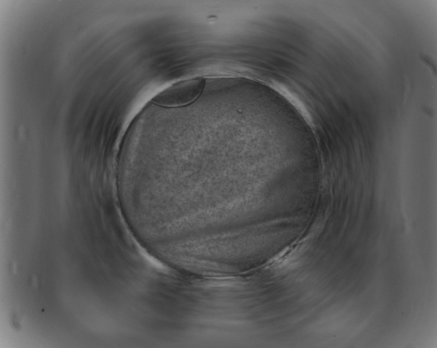 X0000091361486200708241259