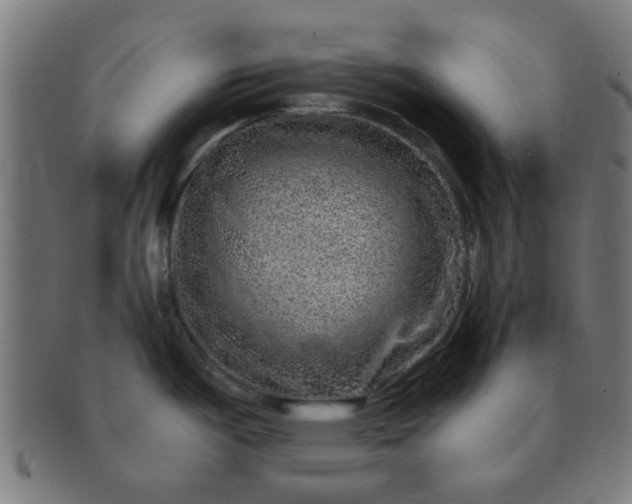 X0000091361487200708241259