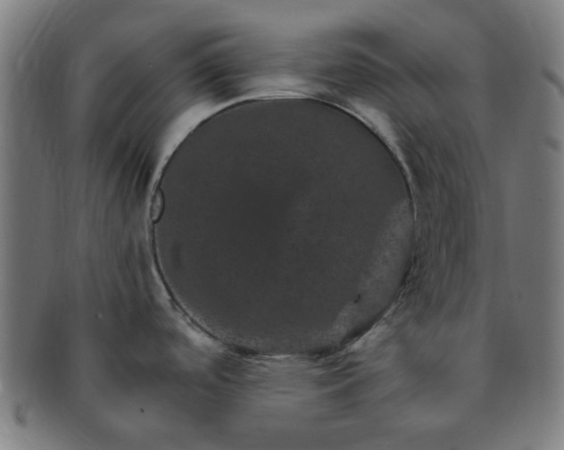 X0000091361488200708241259