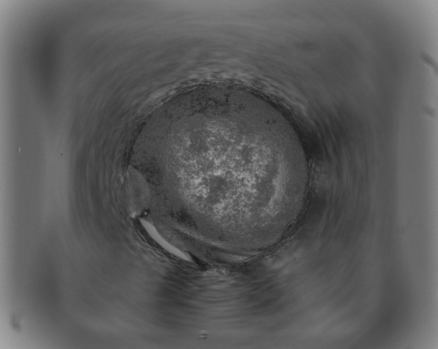 X0000091361489200708241258