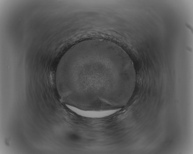 X0000091361490200708241258