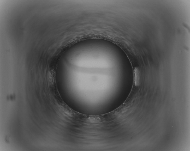 X0000091361491200708241258