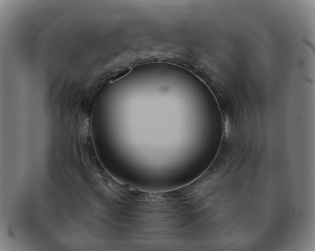 X0000091361492200708241258